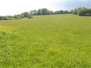 Pohľad na plochu TML