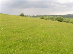 Pohľad na plochu TML