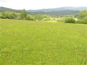 Pohľad na plochu TML