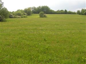 Pohľad na plochu TML