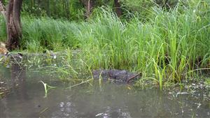 inštalácia pascí na TML