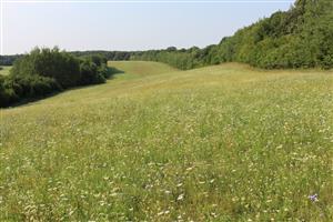 Záber na monitorovanú lokalitu.