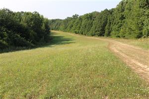 Záber na monitorovanú lokalitu.