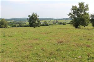 Záber na monitorovanú lokalitu.