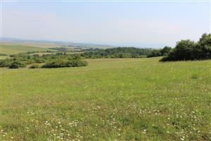 Záber na monitorovanú lokalitu.