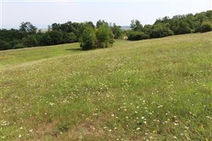 Záber na monitorovanú lokalitu.