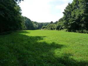 Celkový pohľad na lokalitu