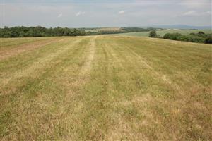 Horné Brhlovce, lúky