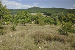 Celkový pohľad na lokalitu