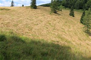 pohľad na lokalitu