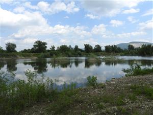 TML_HylaArbo_003_20170623_001_lokalita