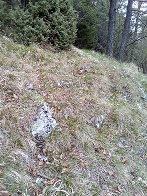 TML_PulsSlav_021_pohľad na plochu TML