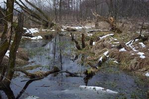 Lokalita Rudava štátna cesta