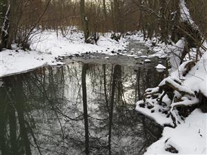 biotop vydry riečnej