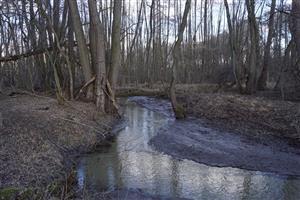 biotop Malina