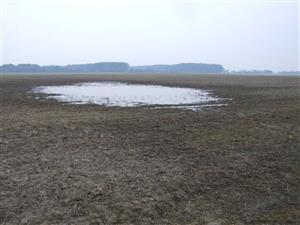 rozoraná poľná depresia pri Močenku