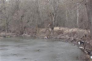 Opustený Castorland 