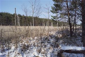 Castorland