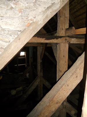 priestor časti podkrovia nad presbytériom, kde sa zdržiavala kolónia v čase monitoringu