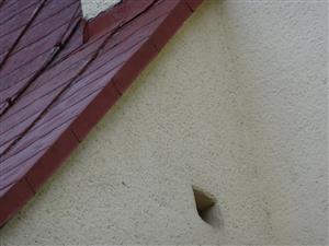 vyletovy otvor kolonie VysokanK