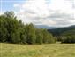 kobylka Štysova (31.7.2014)