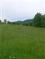 Nížinné a podhorské kosné lúky (24.5.2014)