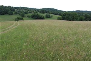 Záber na monitorovaný biotop.