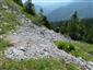 Karbonátové skalné sutiny alpínskeho až montánneho stupňa (5.6.2018)