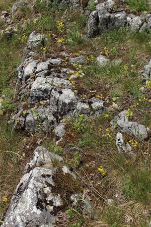 Záber na monitorovaný biotop.