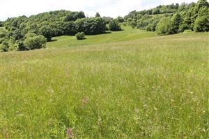 celkový pohľad na TML