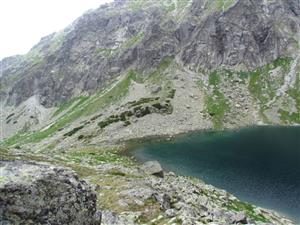 nefcerka3