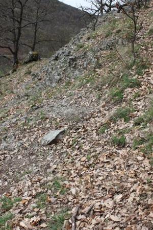 TML_8230_014Hegystráň