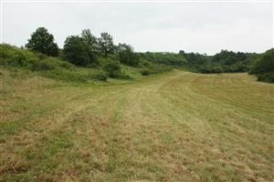 Bory, pohľad na lokalitu smerom na východ