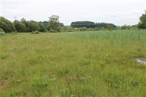 celkový pohľad na TML