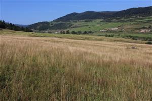 Záber na monitorovaný biotop.