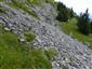 Karbonátové skalné sutiny alpínskeho až montánneho stupňa (8.6.2018)
