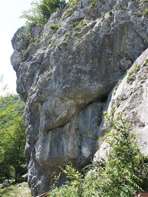 pohľad na lokalitu 6