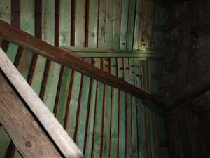 kolónia Rhip Slopná