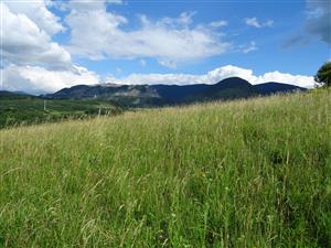 Pohľad na časť lokality