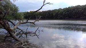 Pohľad na východnú časť TML Kľúčovecké rameno,  foto: 13.7.2018
