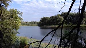 pohľad na časť TML Číčovské rameno, 13.7.2018