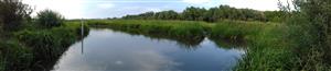 Pohľad na TMP 1 - JV meander, PR Žitavský luh, TML, 30.7.2018.