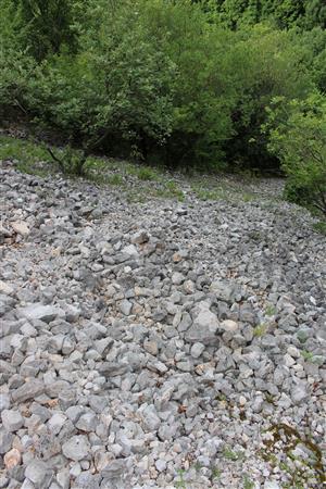 Záber na monitorovaný biotop.