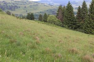 Pohľad na lokalitu s biotopom Tr8