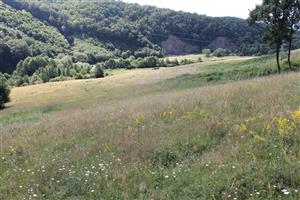 celkový pohľad na TML