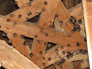 kolónia Rhinolophus hipposideros