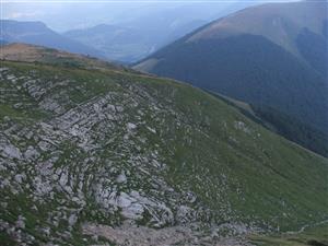 Celkový pohľad na biotop - asociácia Astragalo-Seslerietum tatrae