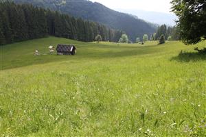 celkový pohľad na TML