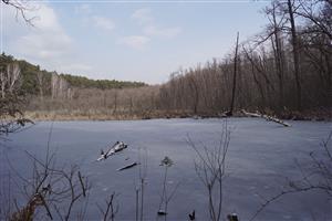 Červený rybník - biotop