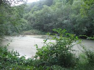 lokalita_miesto odchytu